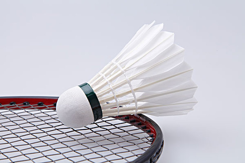 担任球队教 担任球队教